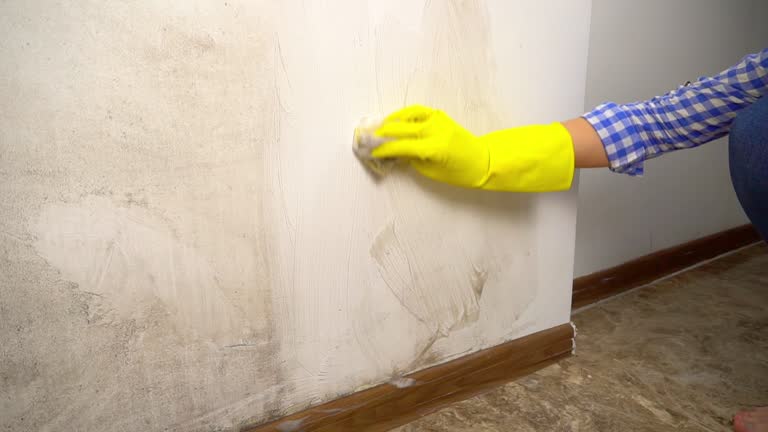 Best Mold Prevention Services  in Canyon Day, AZ